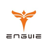 Engwe DE Coupons and Promo Code